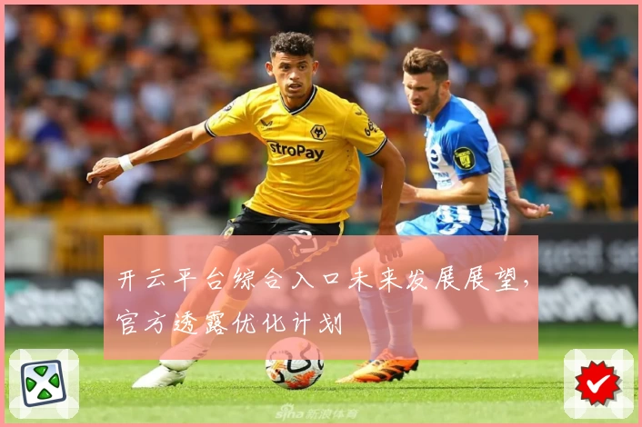 开云平台综合入口未来发展展望，官方透露优化计划