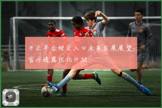 开云平台综合入口未来发展展望，官方透露优化计划